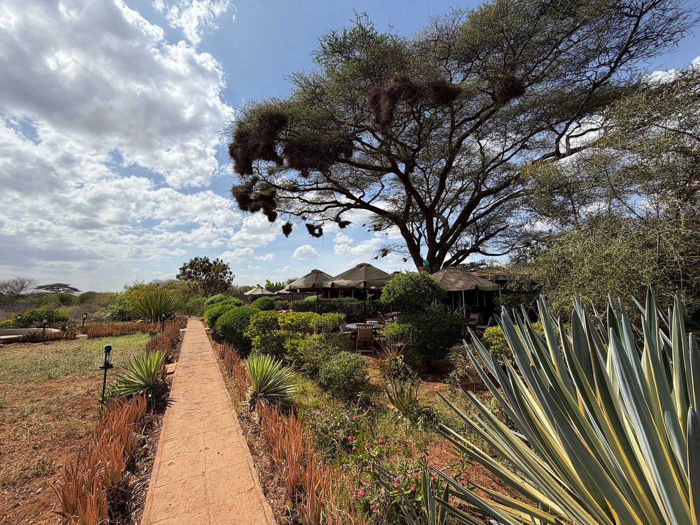 Tulia Amboseli Safari Camp - Amboseli hotel view 6